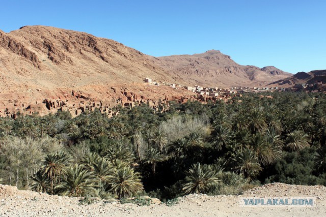 Новогодняя ночь в пустыне Сахара
