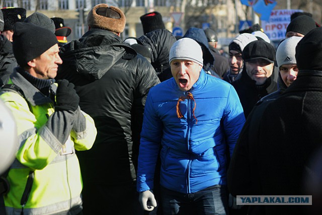 "Георгиевские " ленточки против флагов УПА