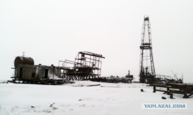 Полуостров ЯМАЛ зимой и летом