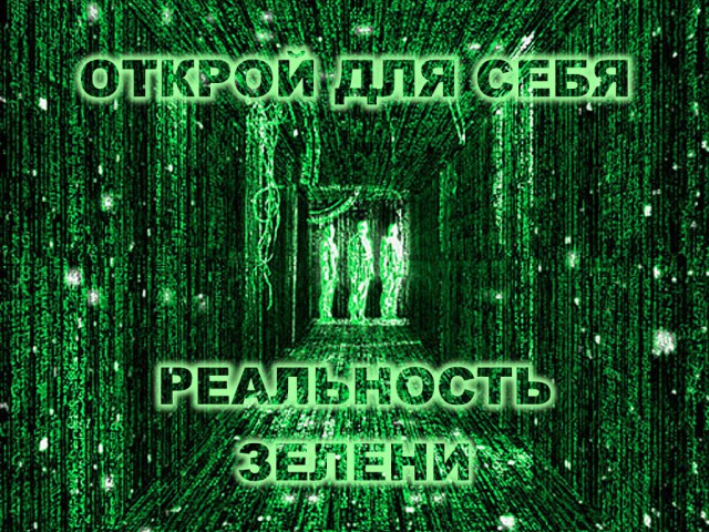 Добряки, плюсующие всех подряд