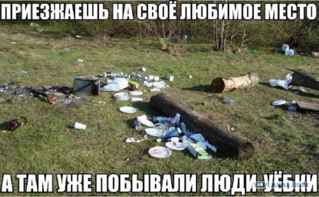 Убийцы леса