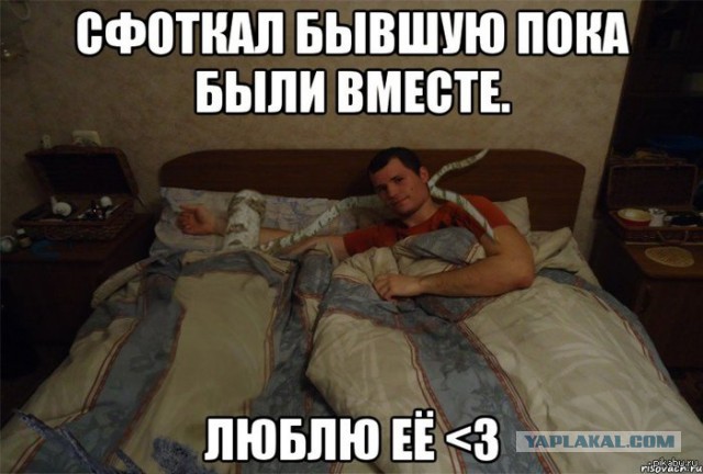 Сколько там живёт женская любовь?