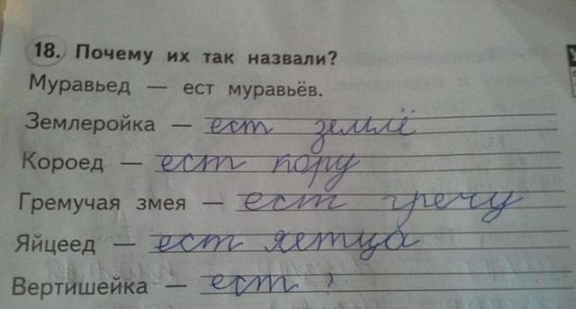 Подборка веселых картинок