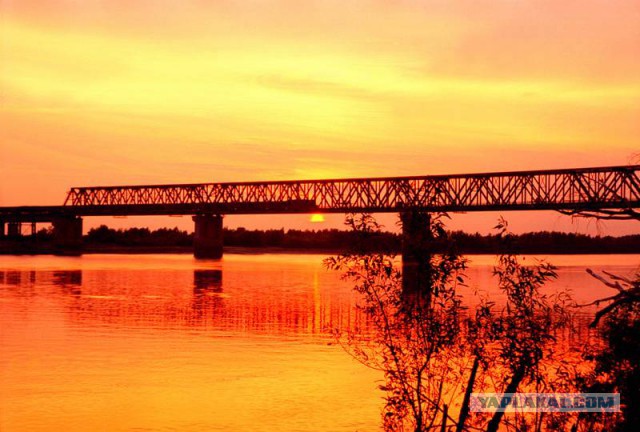 Мосты длинною в жизнь