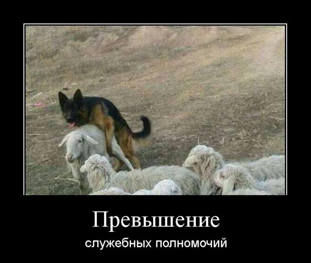 Горячие демотиваторы
