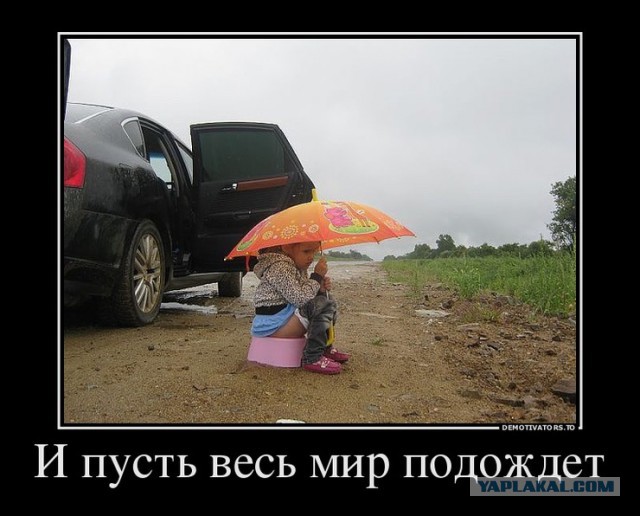 Картинки