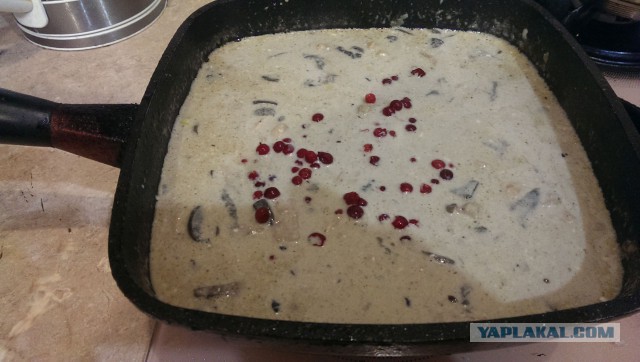 Драники в горшочках с мясом и грибами.
