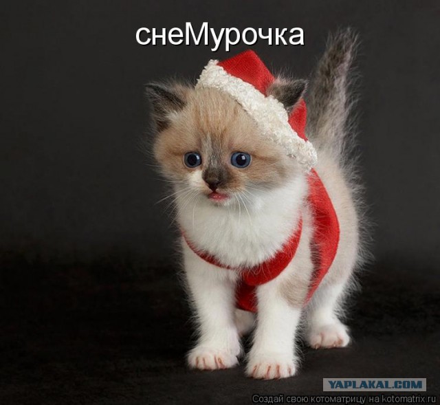 Снегурочка ЯПа
