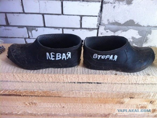 Чуть картинок
