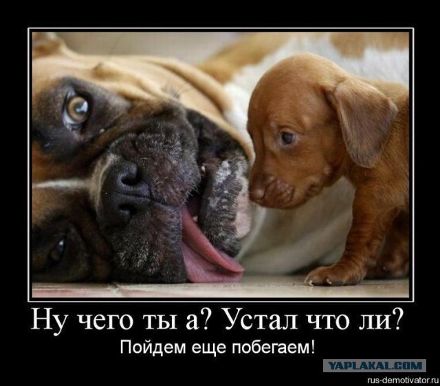 Воскресный вечер