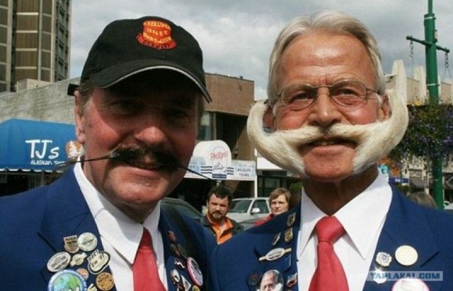 Не растут усы? Да бери так, нахаляву!