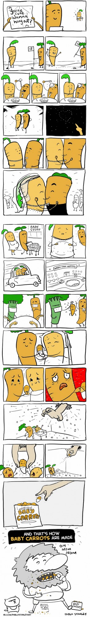 Жизненная история одной морковки