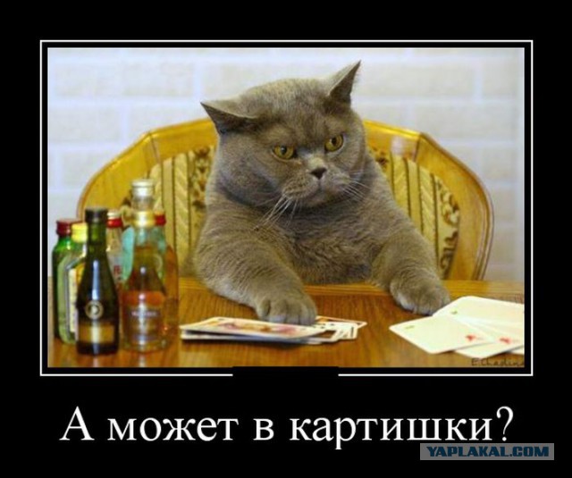 Картинки с просторов на четверг