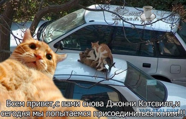 Картинки на утро вторника