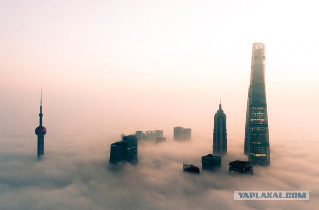 Подборка интересных и веселых картинок