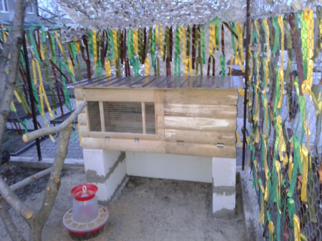 Курятник и кролятник своими руками