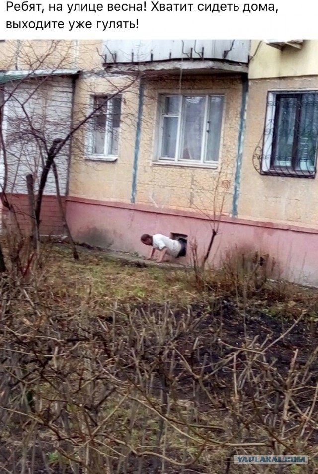 Ужасы и приколы из соцсетей 18+
