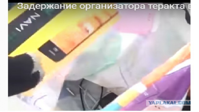 В Подмосковье задержали одного из организаторов теракта в Петербурге