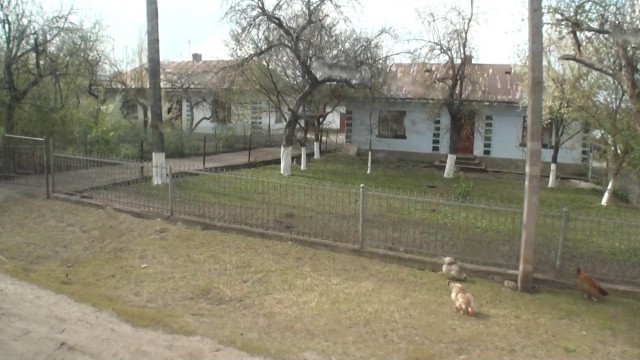 Дикий Запад. Украина