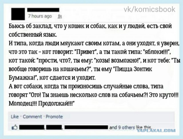 Забавные шутки, фразы и комментарии из этих ваших интернетов