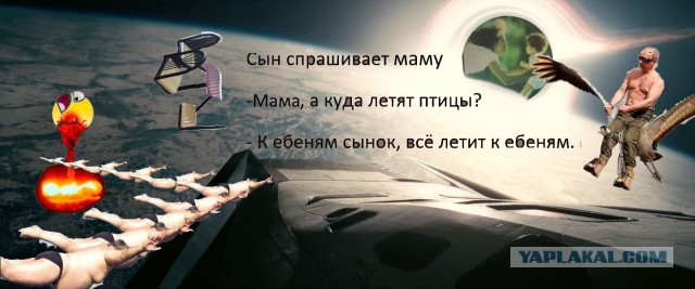 26 фото, где возникает только один вопрос: «О чем ты думал?»