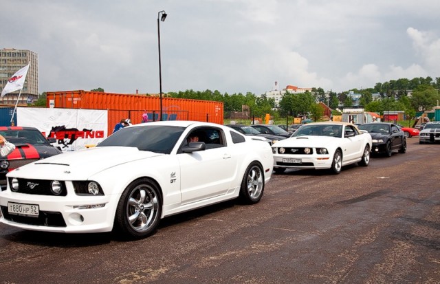ДР mustang club