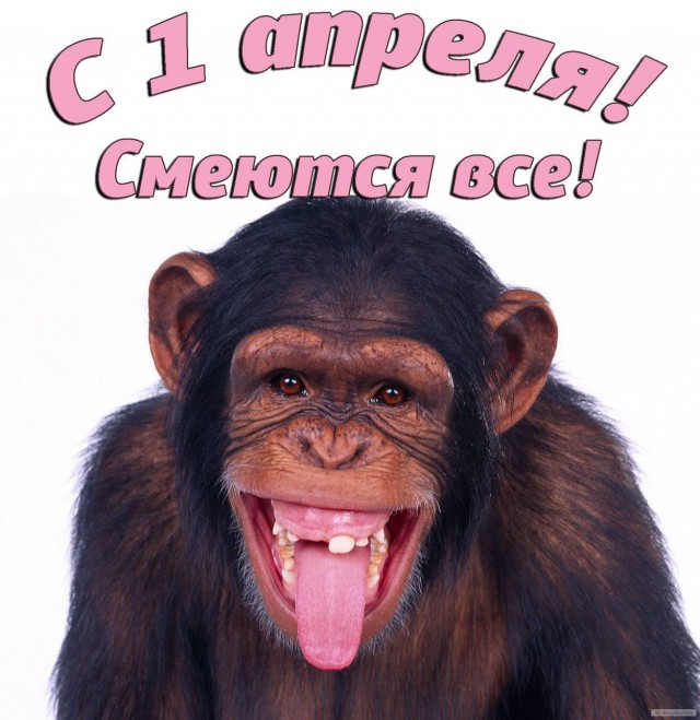 Итоги проверки пользователей