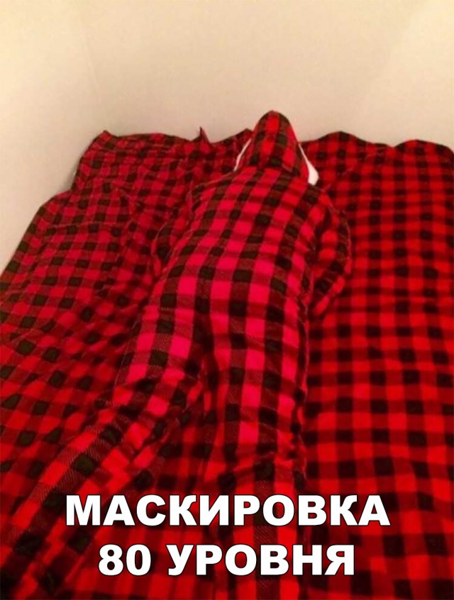Прикольные картинки абавсём