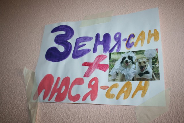 Свадьбы безжалостные и беспощадные