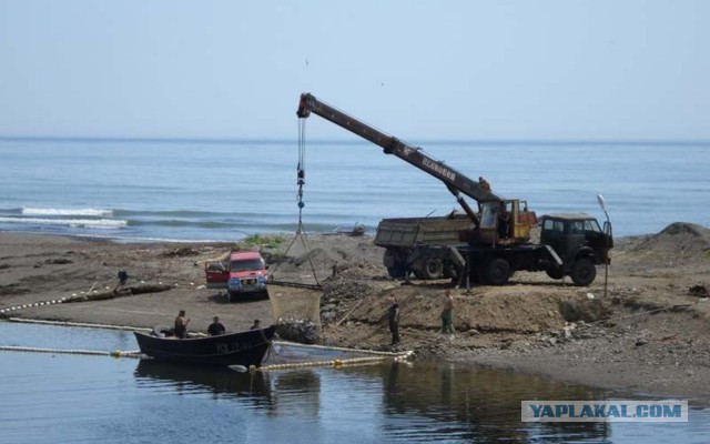 Пермские рыбаки предложили запретить продажу рыболовных сетей