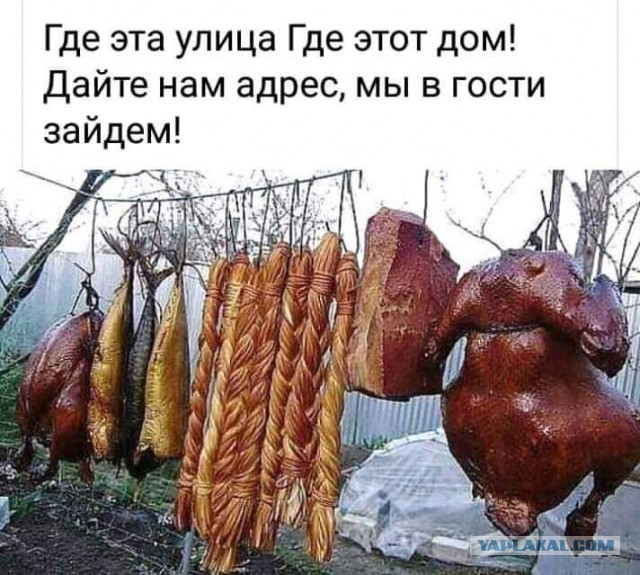 Картинки с надписями, соц-сети и анекдоты на субботу