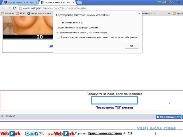 Тест на знание сисек
