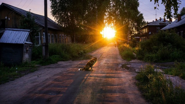 Красота сельских дорог