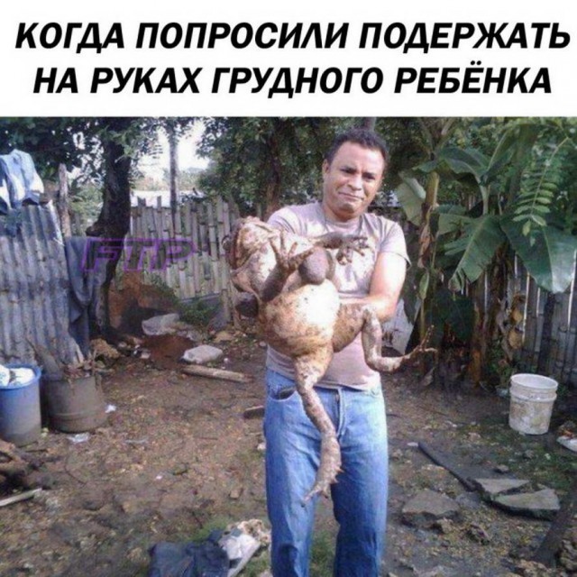 Делаем уроки, бутерброды, охотничью собаку и присоединяем Австрию к России