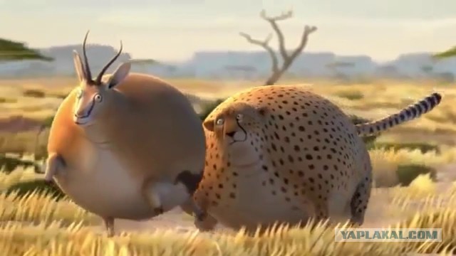 Геноцид женщин