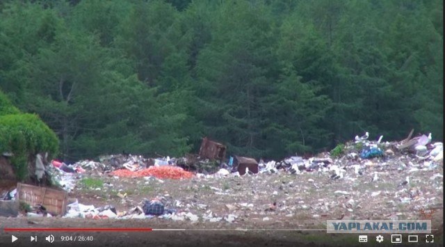 Спецоперация: прорыв блокады Шиеса. 23 октября