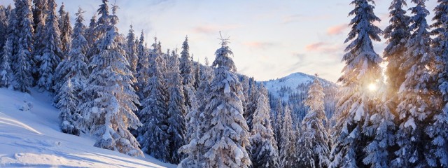 Красивая зимняя тайга