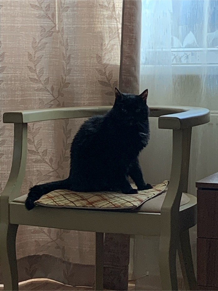 Начнем котоФторник?