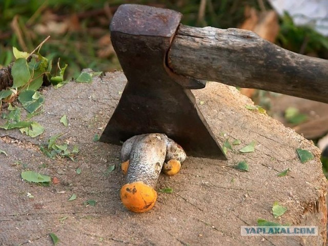Школьники справили нужду на Вечный огонь