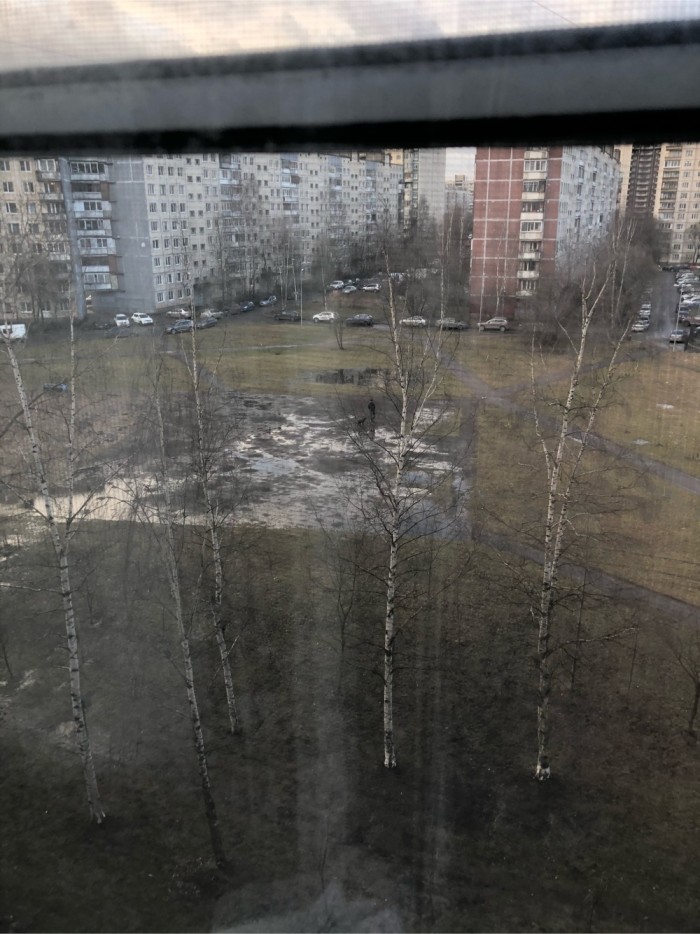 А у Вас какой вид из окна?