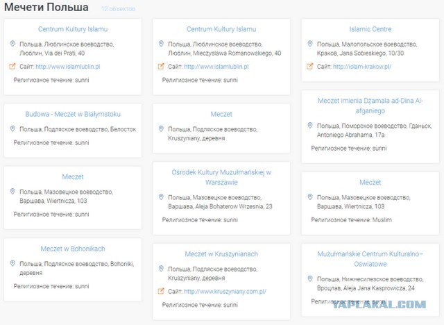 Польский депутат: «Наша страна в безопасности, потому что мы не приняли ни одного беженца-мусульманина»