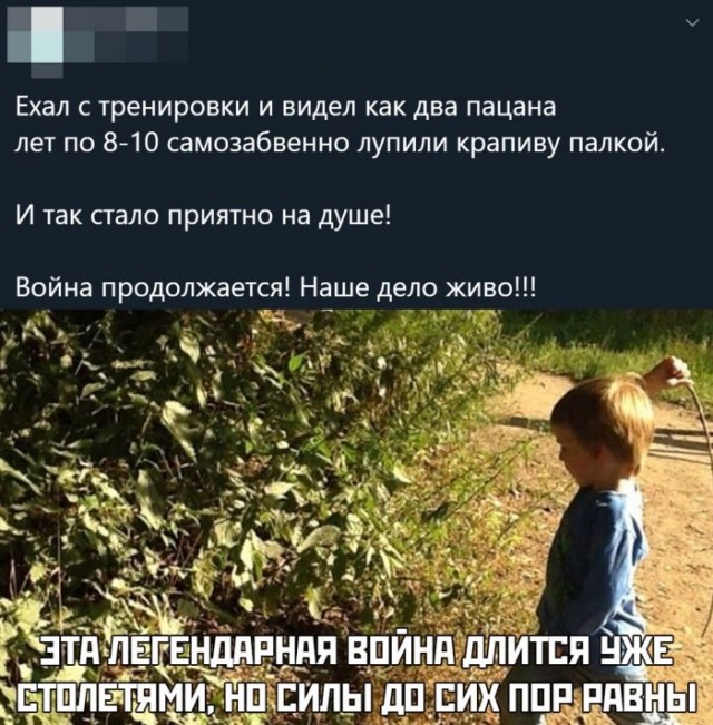 Немного картинок для настроения 25.07.20