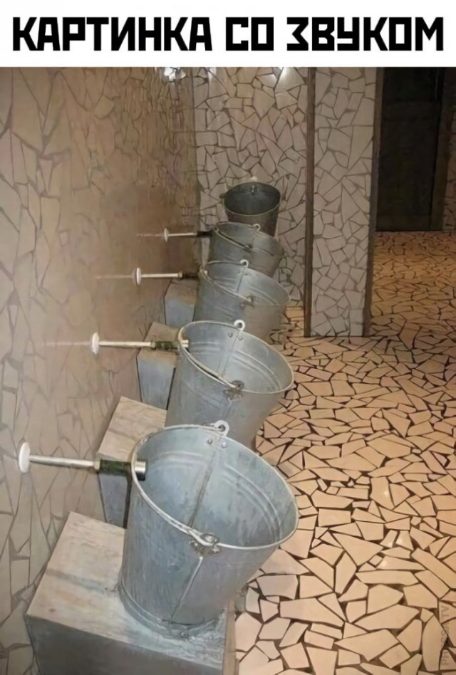 14903630.jpg