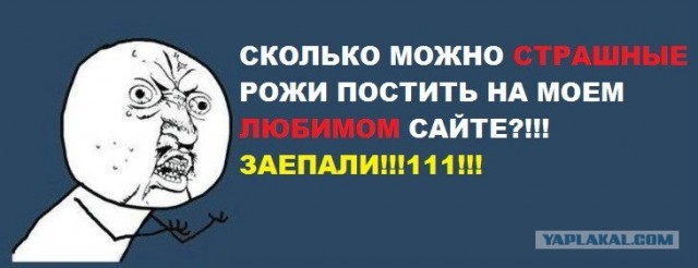 Удачное фото