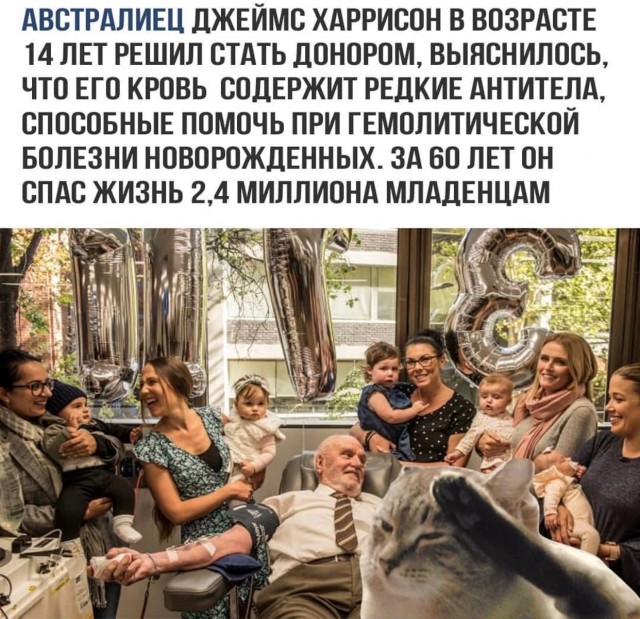 Кретинизмы из сети 02.01.2021. Типа новогодние
