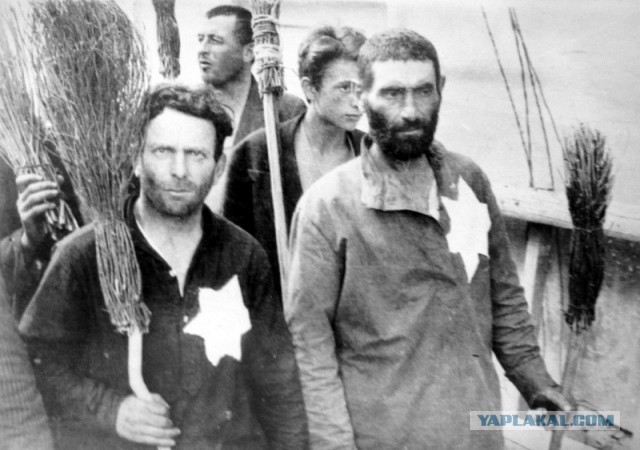 На Сахалине всем, кто сделал прививку от коронавируса, будут выдавать специальные бейджи и доп. права к ним
