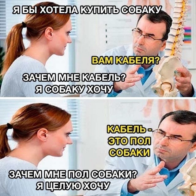 Кретинизмы из сети 03.02.21 Night Edition