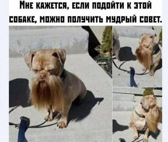 Картинки и мемы для настроения