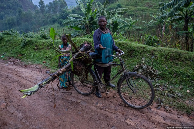 Уганда: самая настоящая Африка с гориллами и носорогами!