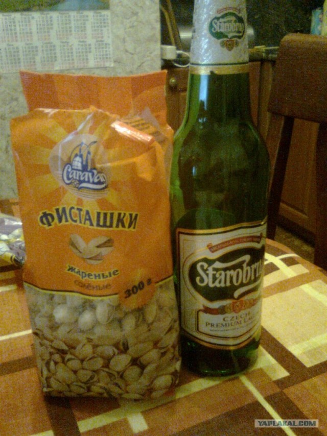 Пятничные посиделки на теплотрассе (с)